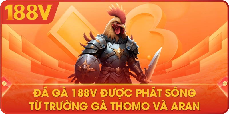 Đá gà 188V được phát sóng từ trường gà Thomo và Aran