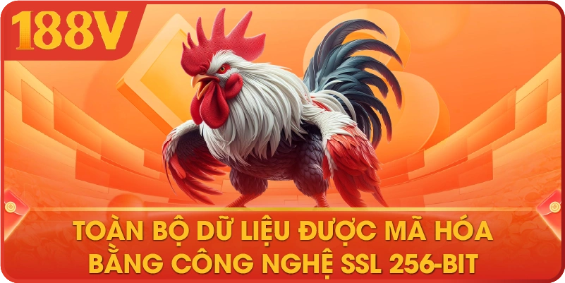 Toàn bộ dữ liệu được mã hóa bằng công nghệ SSL 256-bit